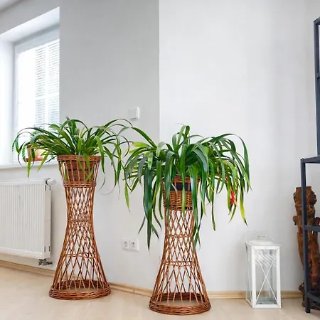Symbiola House * Arnoltice u Decina